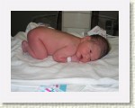 IMG_5242 * 2592 x 1944 * (1.75MB)