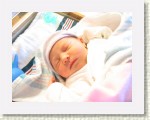 IMG_5278 * 2592 x 1944 * (1.32MB)