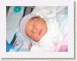 IMG_5279 * 2592 x 1944 * (1.82MB)