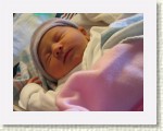 IMG_5280 * 2592 x 1944 * (1.92MB)