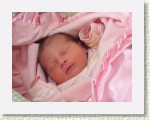 IMG_5304 * 2592 x 1944 * (1.87MB)