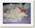 IMG_5315 * 2592 x 1944 * (2.59MB)