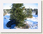 IMG_5336 * 2592 x 1944 * (3.32MB)