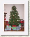 IMG_5425 * 1944 x 2592 * (2.46MB)