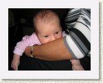 IMG_5446 * 2592 x 1944 * (1.86MB)