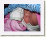 IMG_5468 * 2592 x 1944 * (1.89MB)
