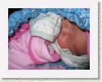 IMG_5469 * 2592 x 1944 * (2.6MB)