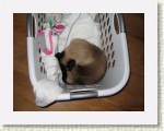 IMG_5512 * 2592 x 1944 * (2.25MB)